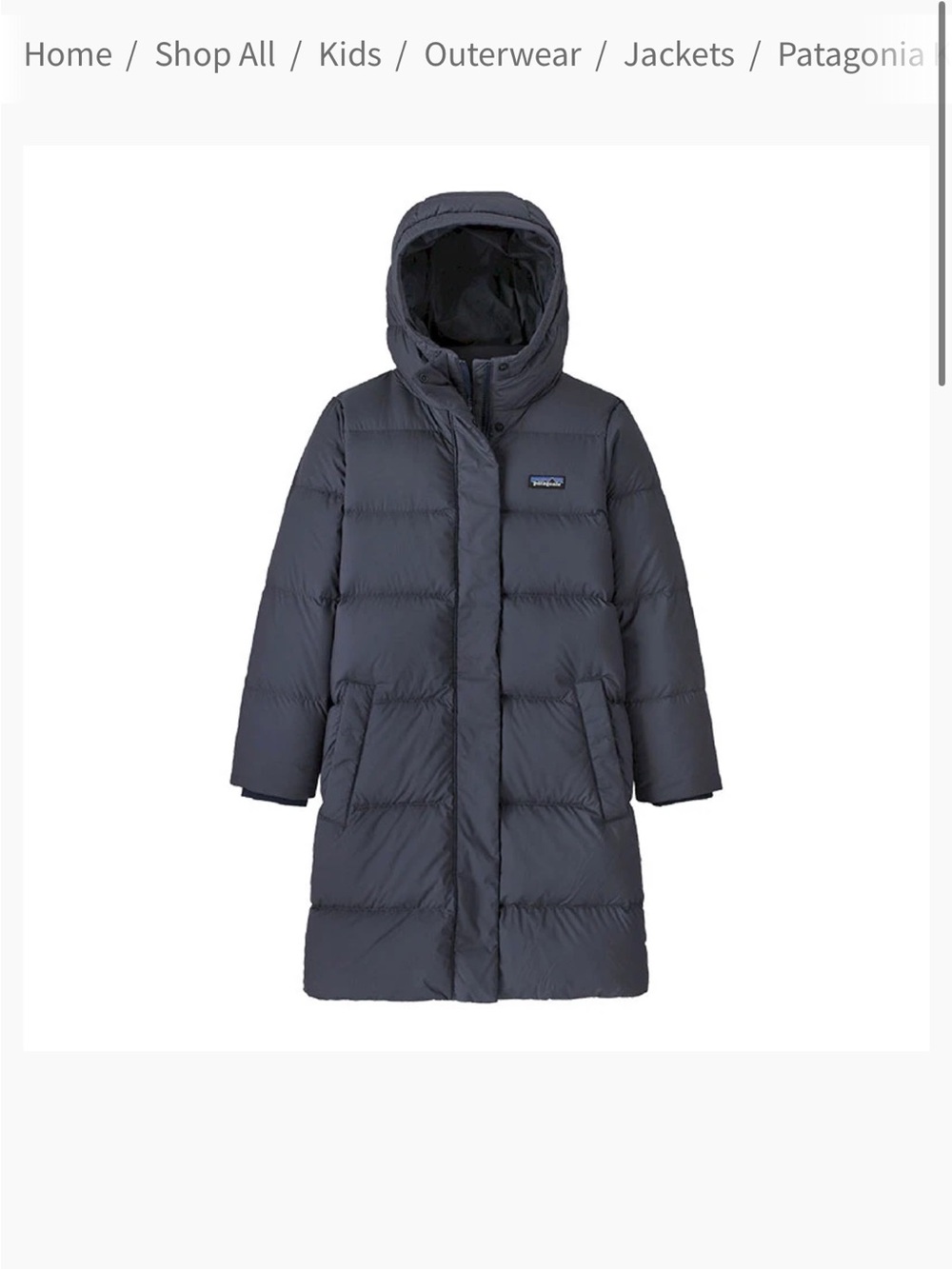 Patagonia Silent Down Parka